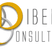 Dibenn Consulting