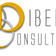 Dibenn Consulting